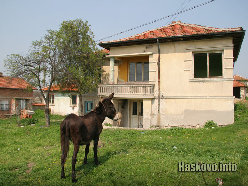 Къщата на Руси