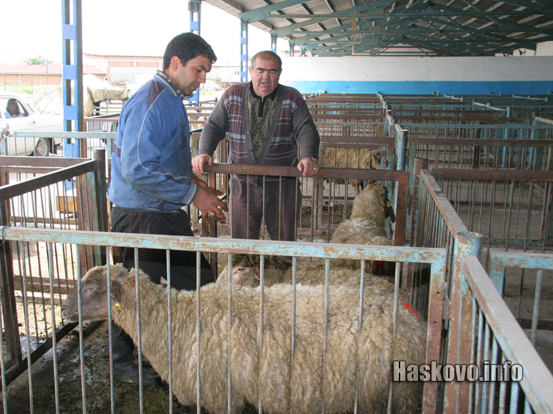 Агнета, архив