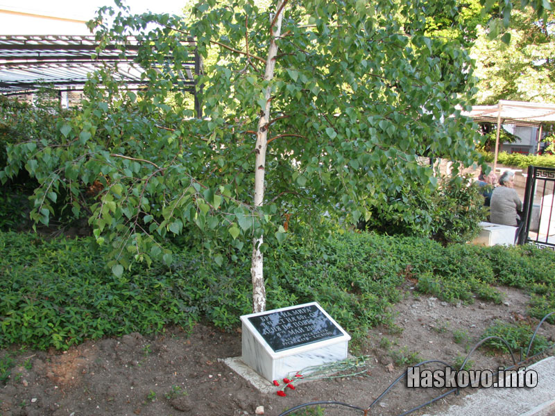 Дървото на мира