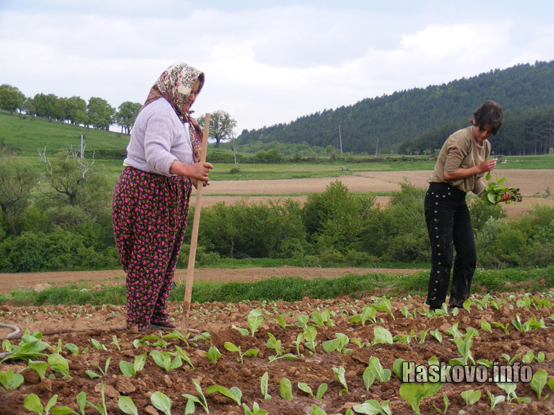 Райме и Леман