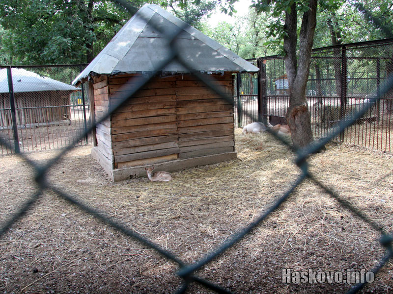 Малкото с майка си Малкото с майка си