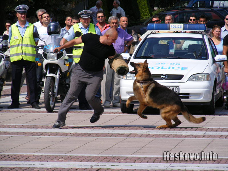 Празник на МВР