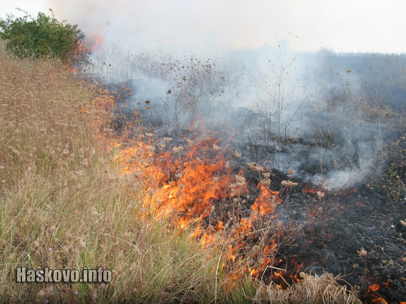 Пожарът Пожарът