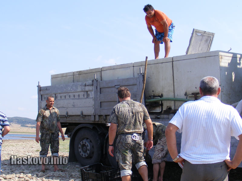 Зарибяването