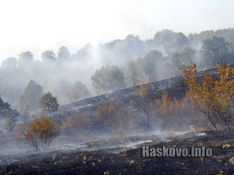 Пожарът унищожи сухи треви Пожарът унищожи сухи треви