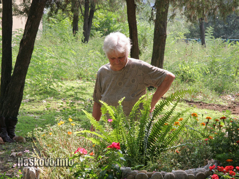 Цветните лехи Цветните лехи