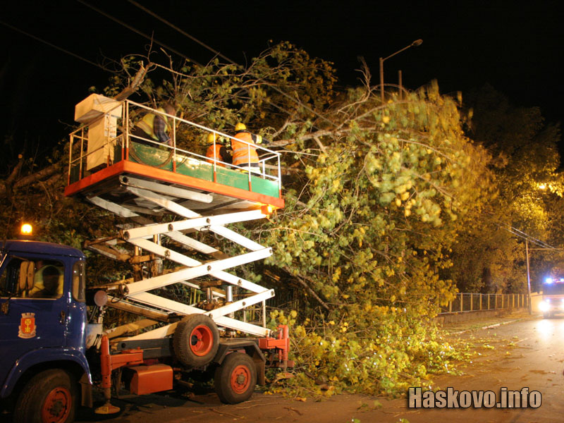 Падналото дърво до КАТ