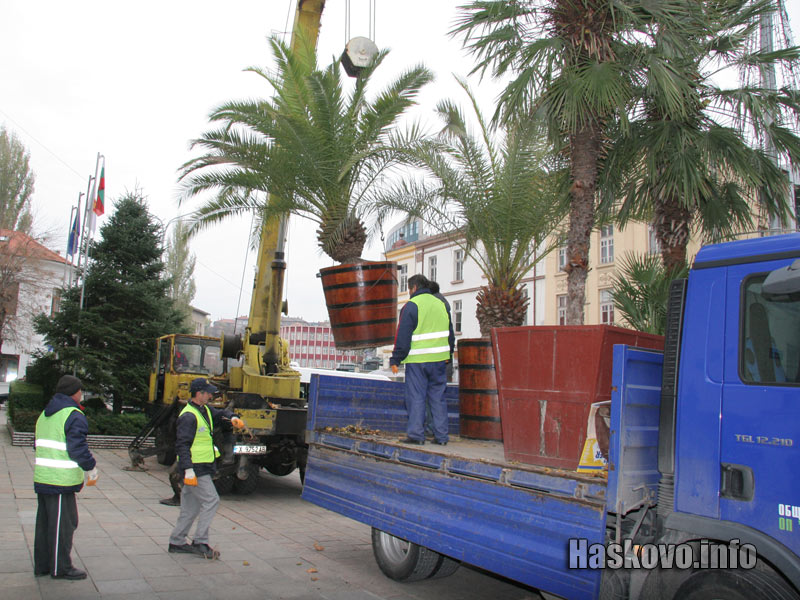 Вдигат палмите