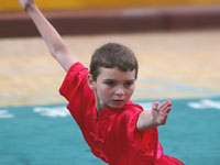 Състезател по у шу