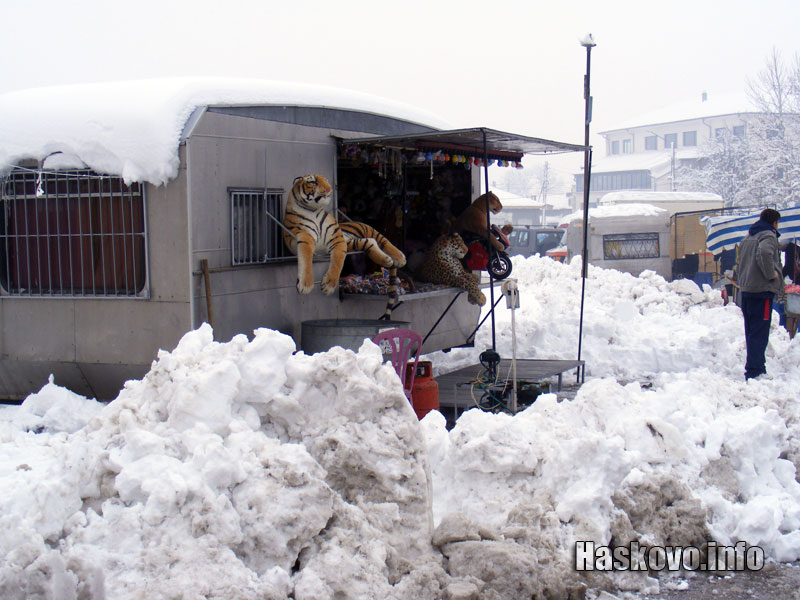 Сергии не липсват Сергии не липсват