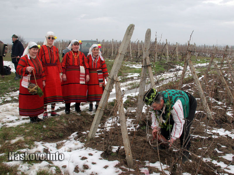 Антон Вълканов заряза лозята край Черногорово