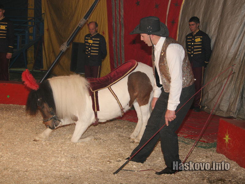 Дуо Михови Дуо Михови