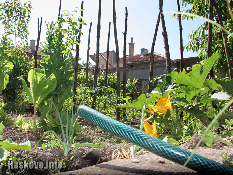  Ангелов полива посевите