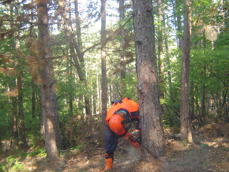 Учениците тренират