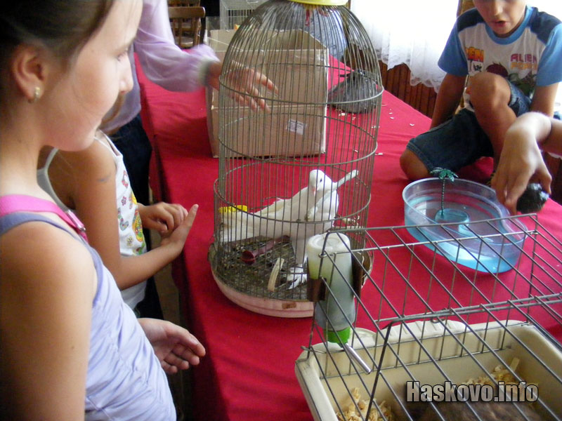 Част от животинките Част от животинките