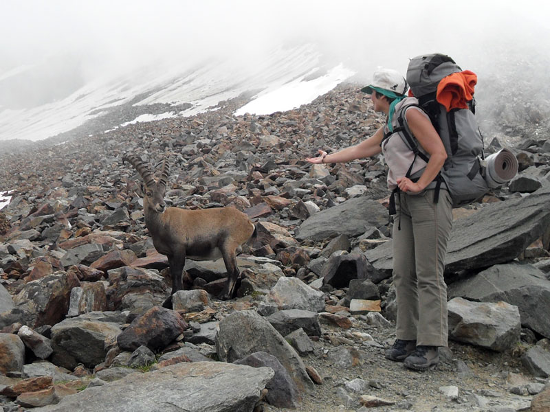 Експедицията