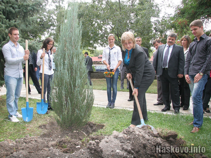 Дървото, което бе засадено с дружни усилия
