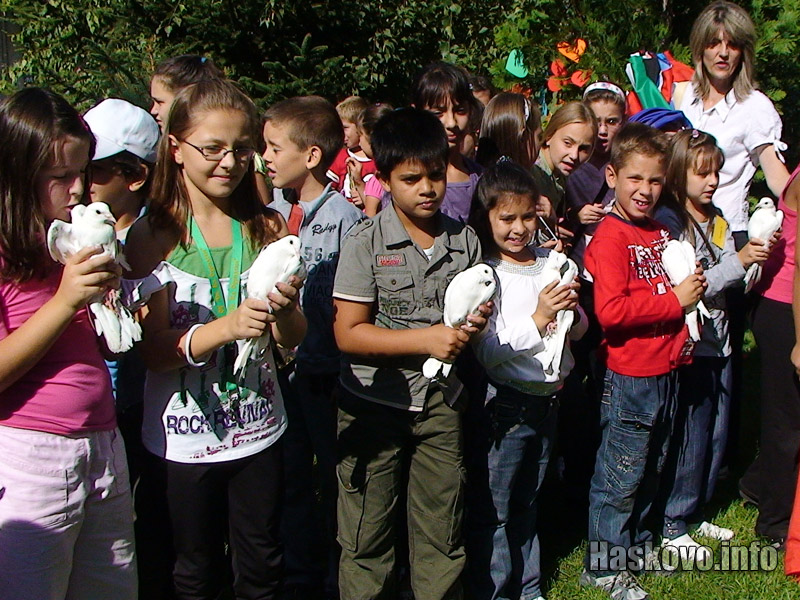 Ден на мира