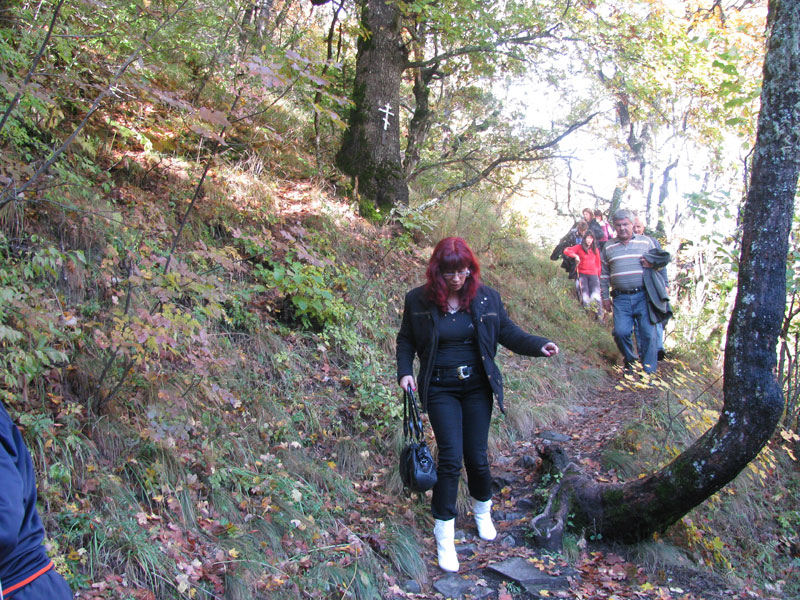 Ученици и учители