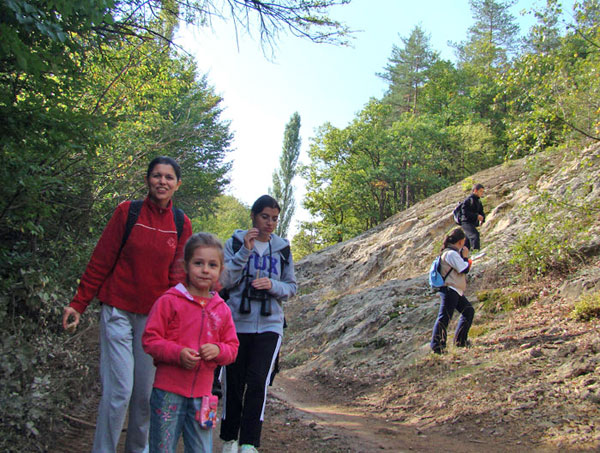 Наблюдение