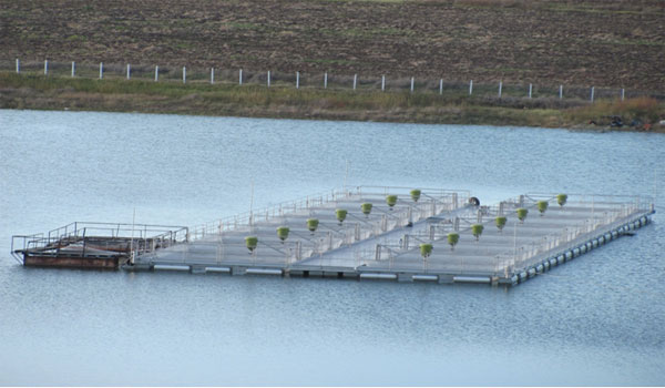 Садковото стопанство