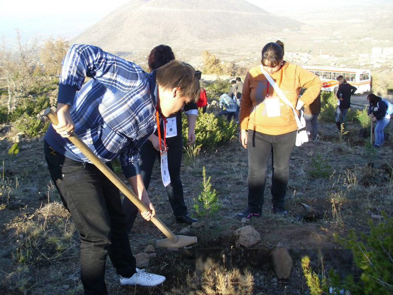 Засаждането на горичката