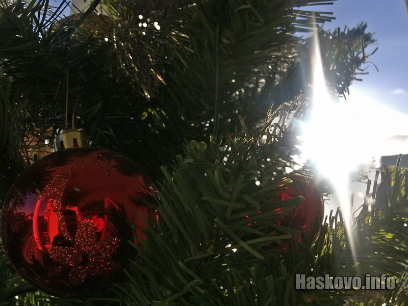 Коледно слънце