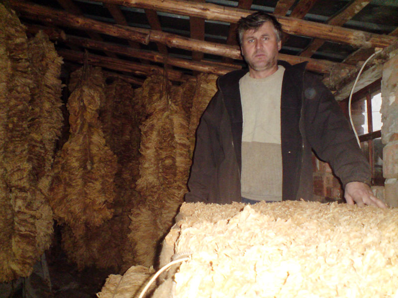 Ергюн Мехмед