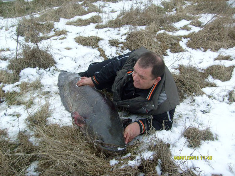 Панчо Паншув със сома