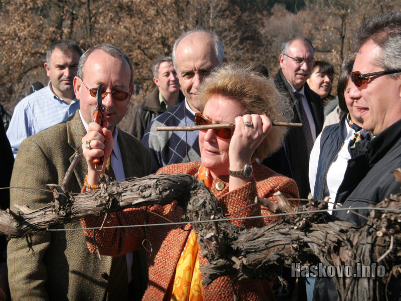 Таря Лайтиайнен