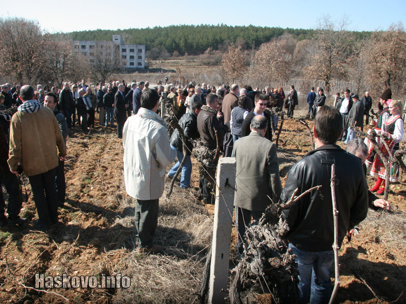 Празника Празника