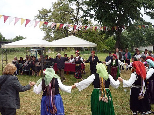 Кехлибарен грозд, илюстрация