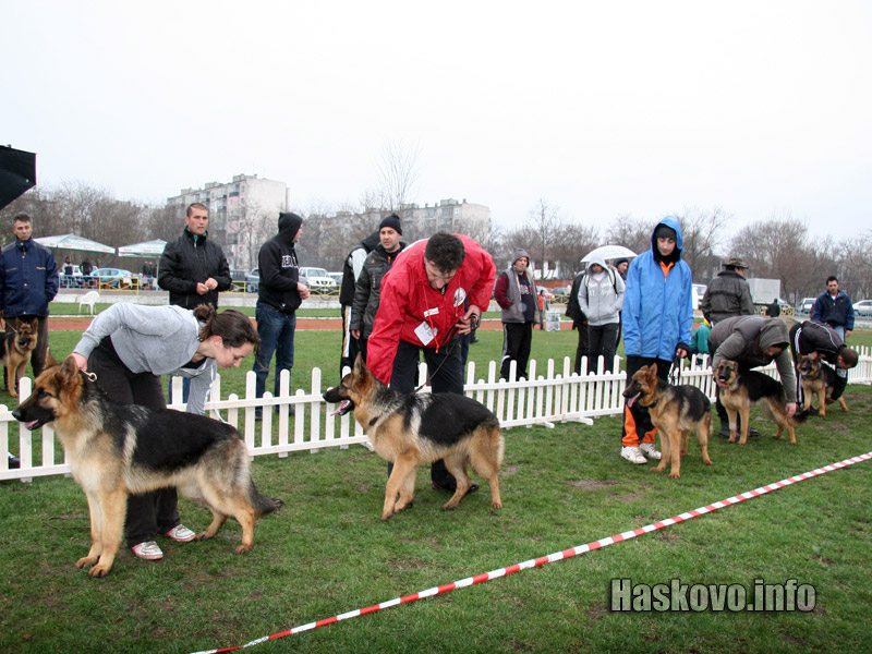 Международна киноложка изложба в Димитровград