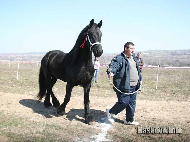 Тюмен и Митко Бойков