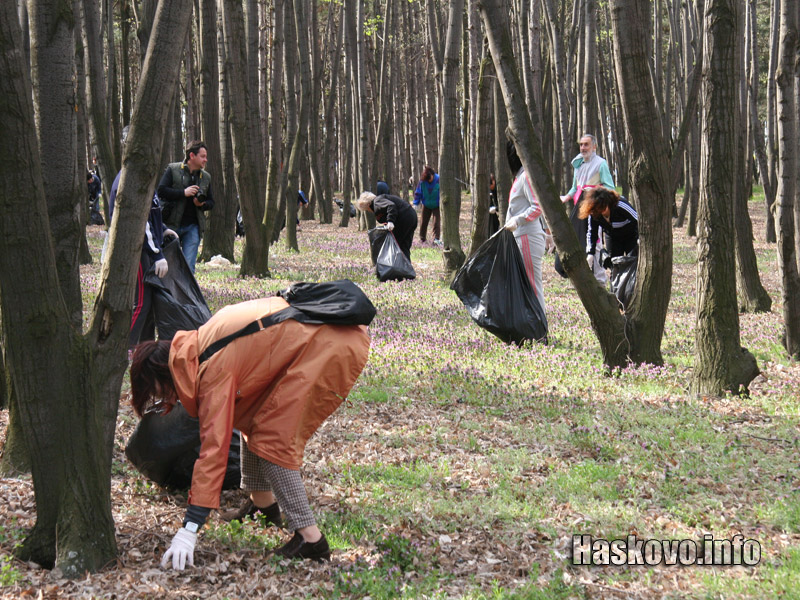 Чистенето на горичката Чистенето на горичката