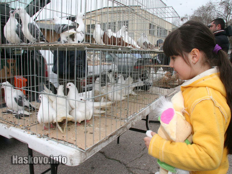 Изложението