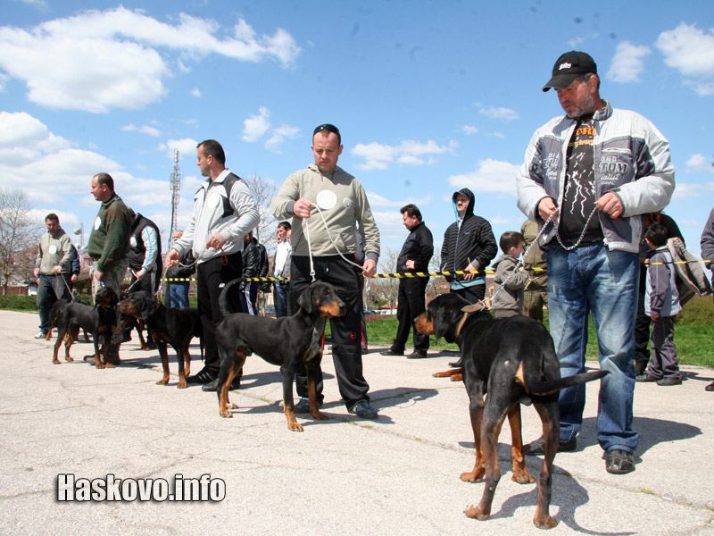 Киноложката изложба Киноложката изложба