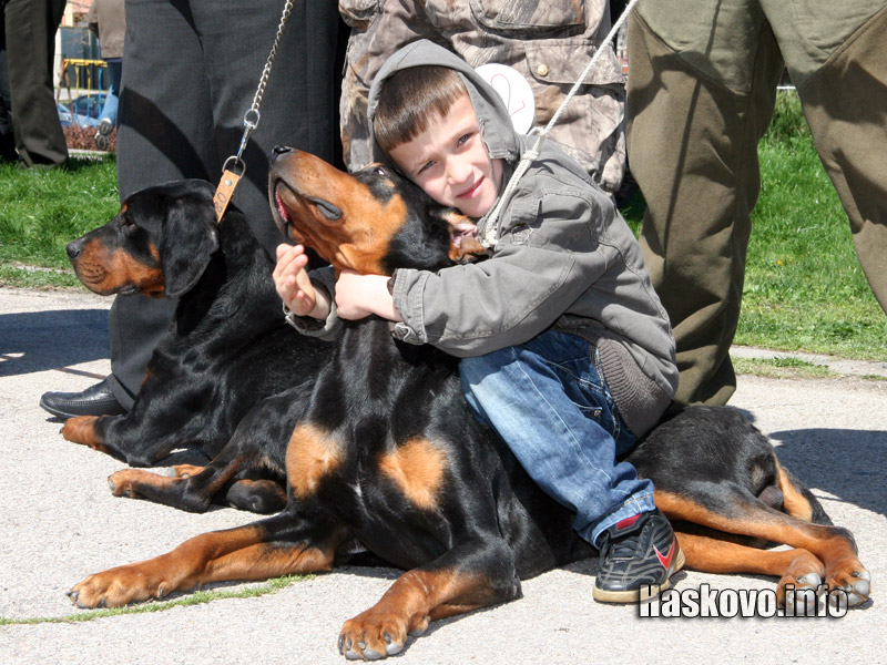Киноложката изложба Киноложката изложба