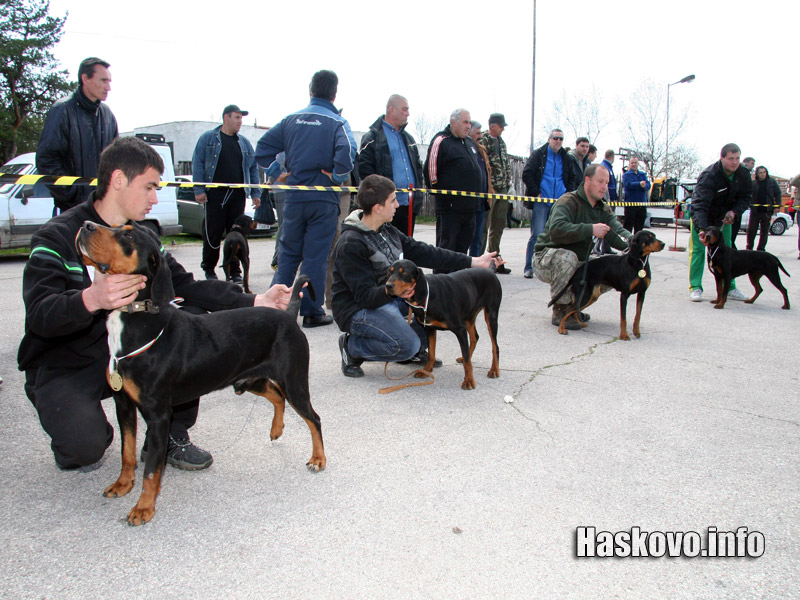 Киноложката изложба Киноложката изложба