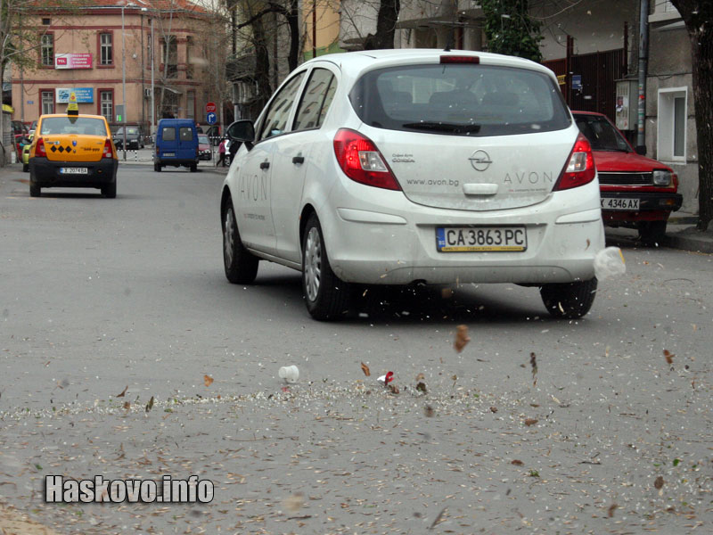 Вятър Вятър