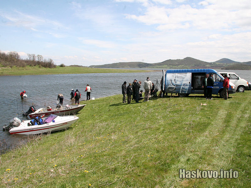 Зарибяване