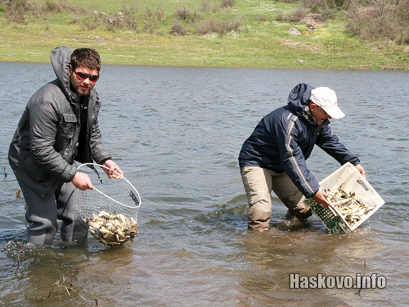 Зарибяване