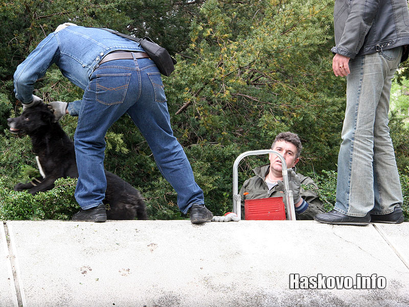 Спасителната операция Спасителната операция