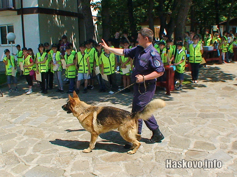 Най-забавна за децата бе демонстрацията на работа с кучета, снимки Георги Даскалов