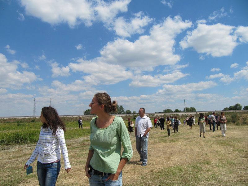 Блатно кокиче