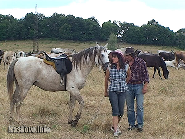 В биофермата на семейство Василеви живеят около 500 крави, снимка Георги Даскалов