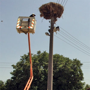 снимка: община Харманли