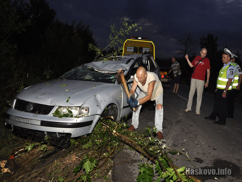 Сеченето на дърветата Сеченето на дърветата