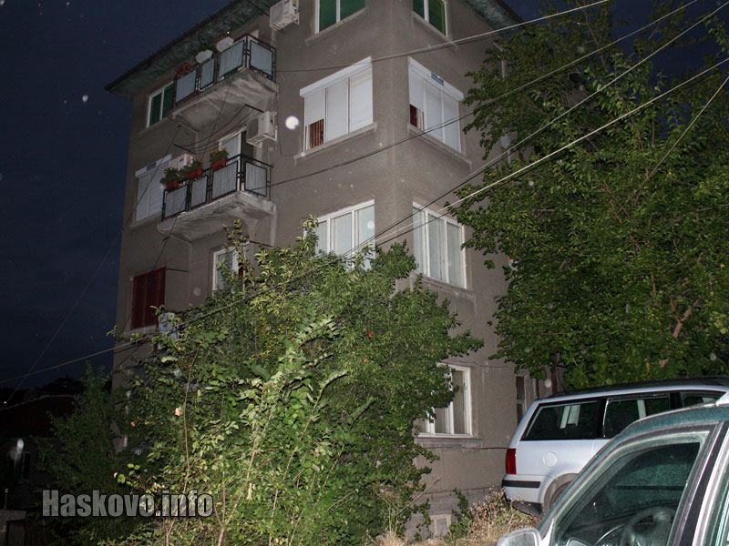 Кучешки бой