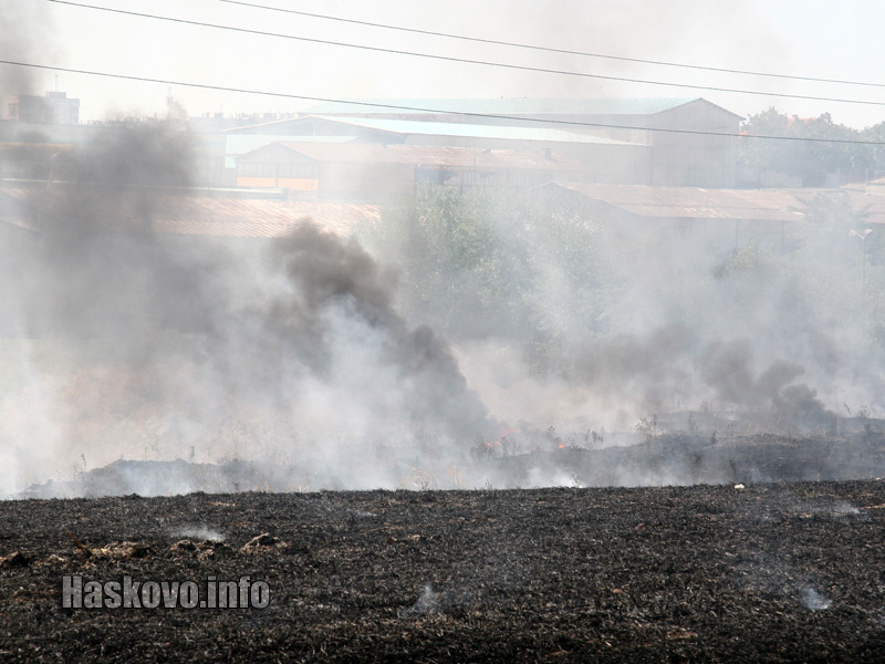 Пожар Пожар